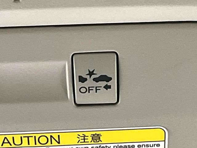 24481618_carP_l_10.jpg