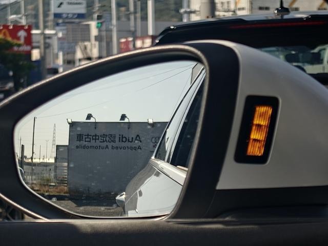 25123778_carP_l_7.jpg
