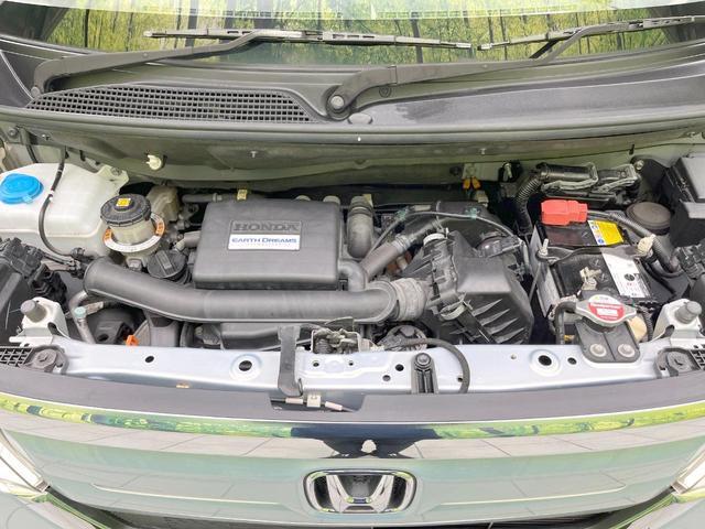 24625306_carP_l_16.jpg