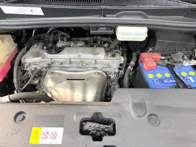 26773547_carP_l_20.jpg