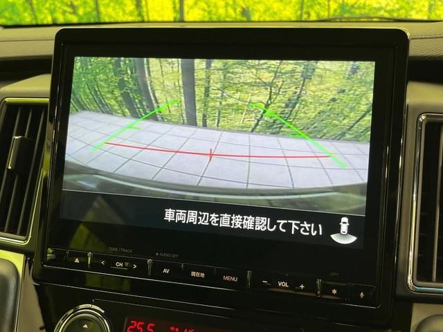 24239171_carP_l_13.jpg