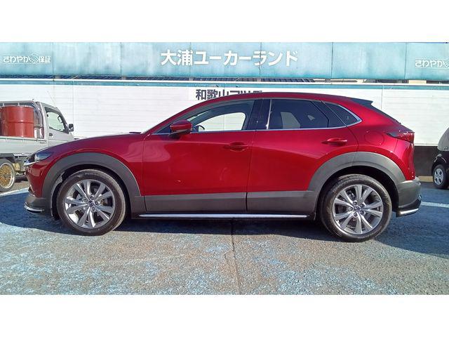7f148fa1da1748dda31c56e897683f54.jpg