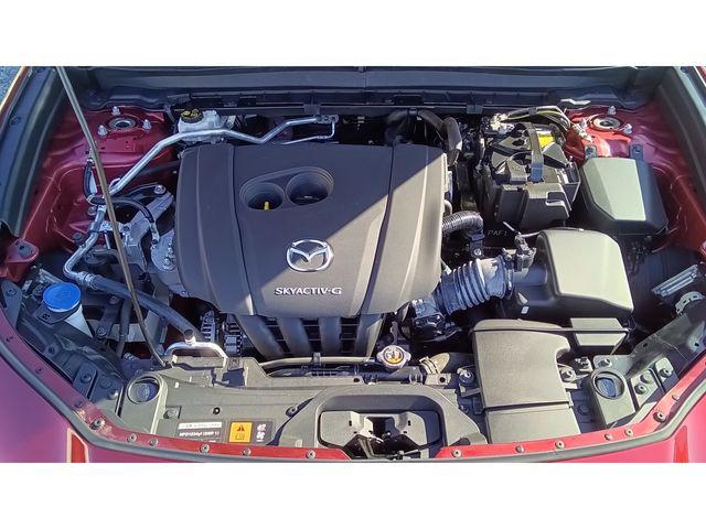 b7a4e1bdb30bbde96454d7fcad323ea4.jpg