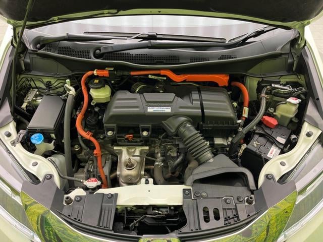 17774529_carP_l_20.jpg