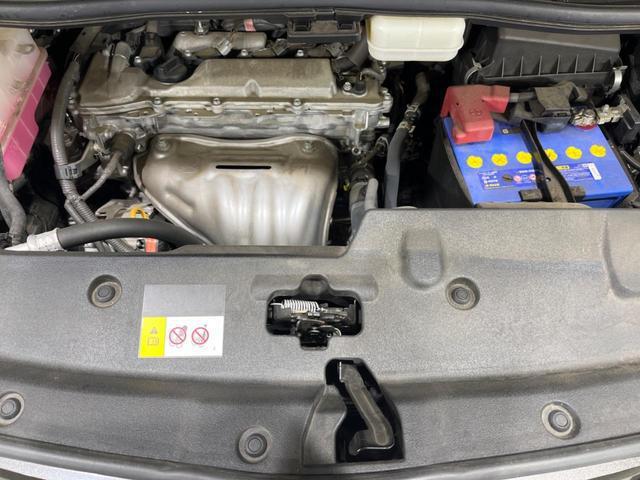 23555846_carP_l_16.jpg