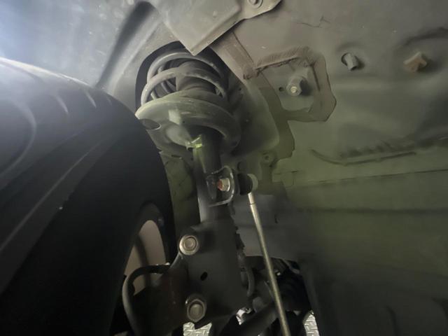 23555846_carP_l_20.jpg