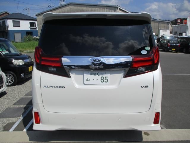 25927743_carP_l_2.jpg