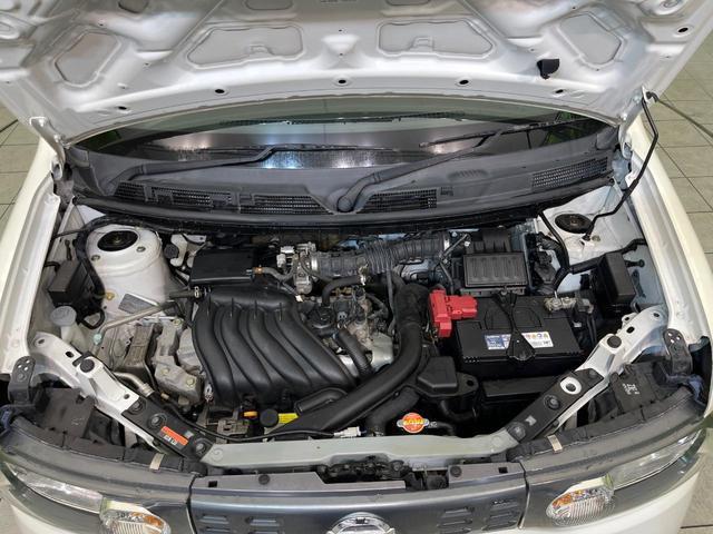 23497424_carP_l_16.jpg