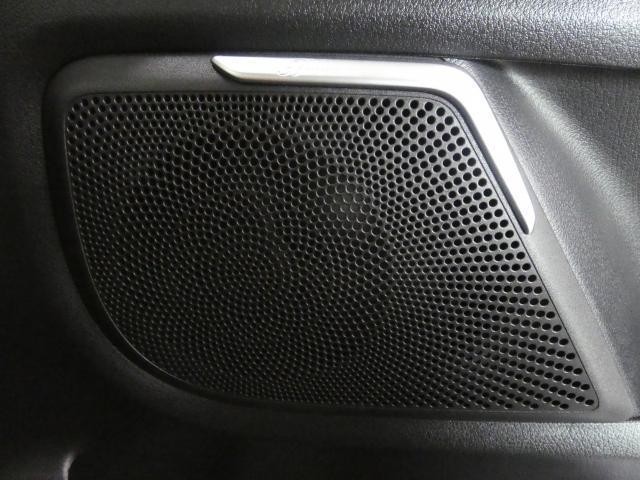 25117094_carP_l_12.jpg