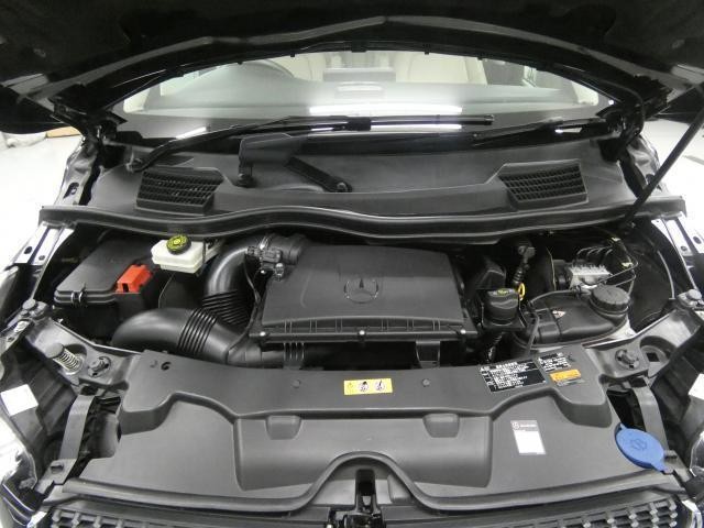 25117094_carP_l_20.jpg