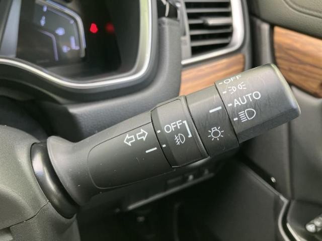 25638419_carP_l_11.jpg