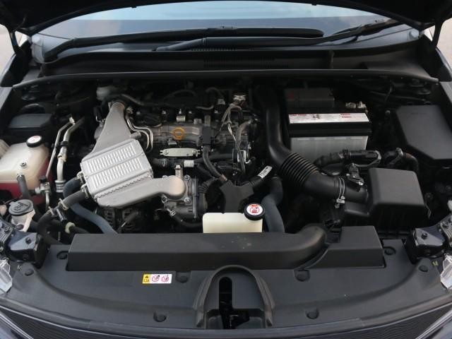 25041592_carP_l_17.jpg