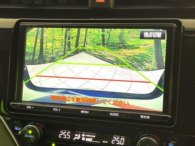 25283354_carP_l_13.jpg