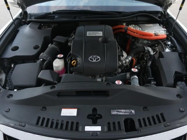 25041670_carP_l_17.jpg