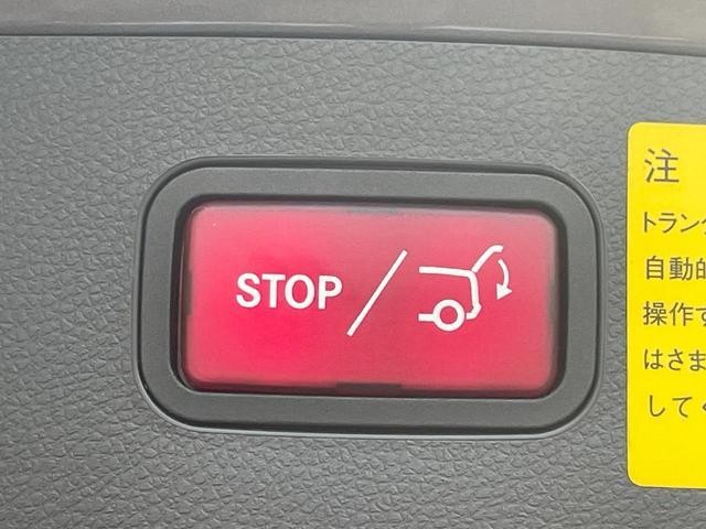 24521268_carP_l_8.jpg