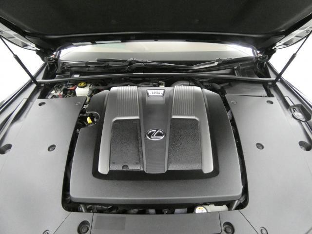 26860935_carP_l_20.jpg