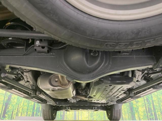 26146762_carP_l_20.jpg