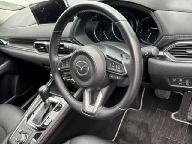 25204952_carP_l_15.jpg