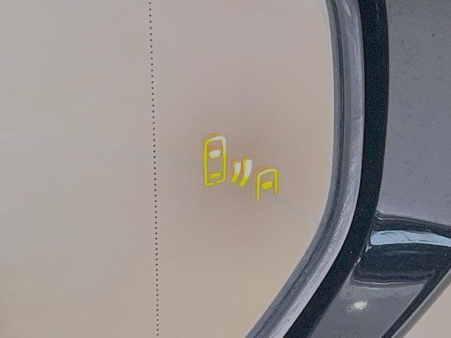 24582340_carP_l_13.jpg