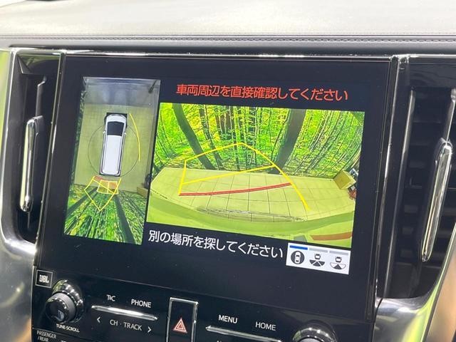 25241180_carP_l_13.jpg