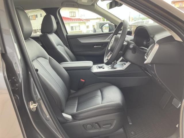 23776359_carP_l_4.jpg