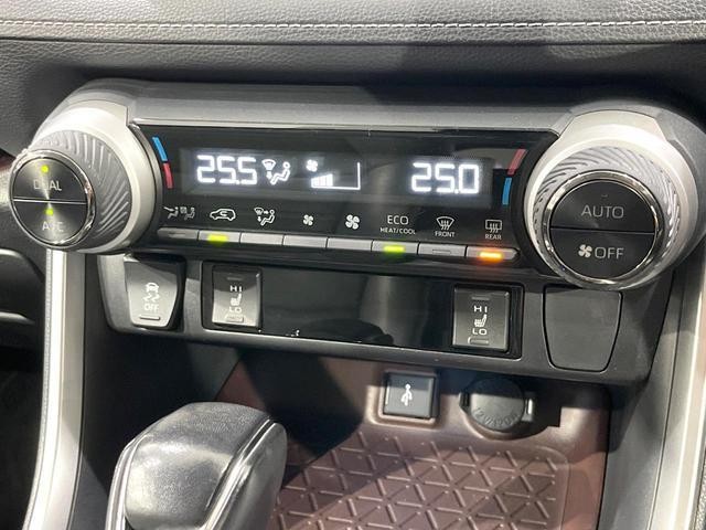26146957_carP_l_14.jpg