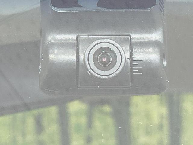 23925676_carP_l_14.jpg