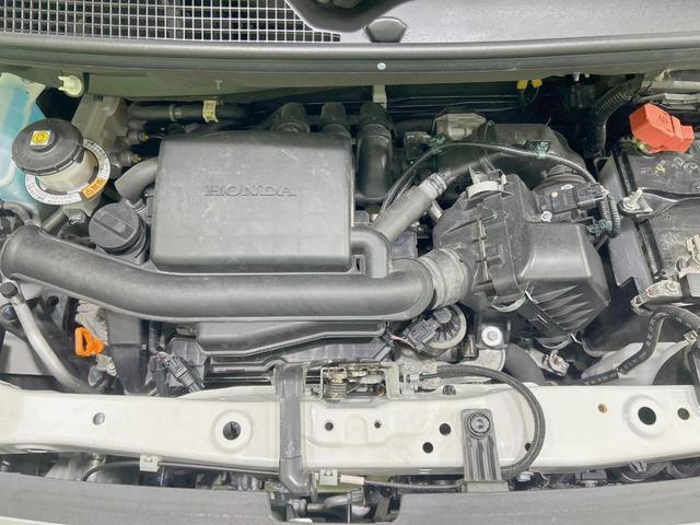 23925676_carP_l_16.jpg