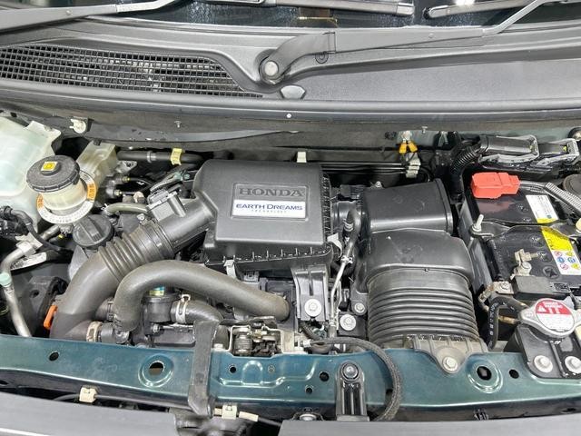 25612346_carP_l_16.jpg