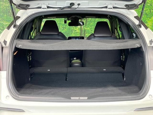 25405083_carP_l_19.jpg