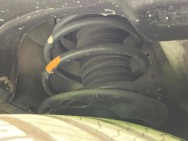 25425637_carP_l_20.jpg