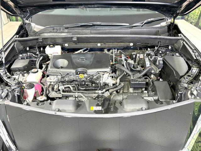 22779445_carP_l_16.jpg