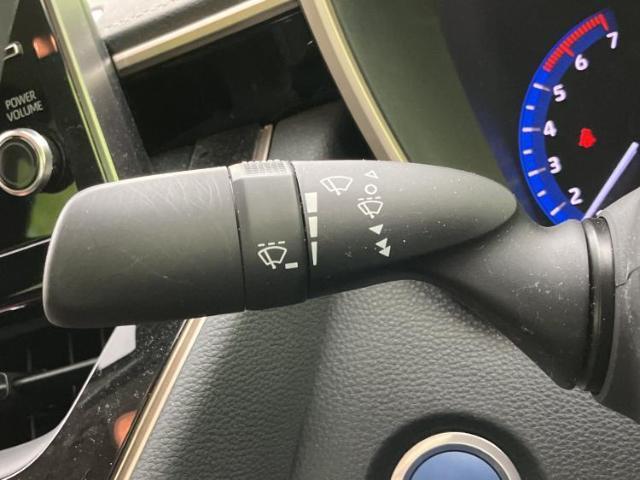 22575914_carP_l_12.jpg