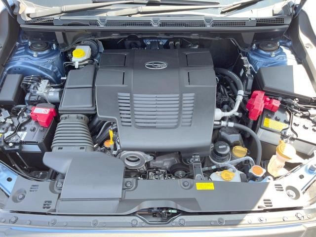 24952895_carP_l_16.jpg