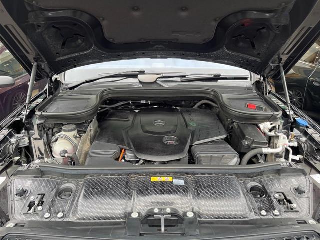 24380033_carP_l_20.jpg