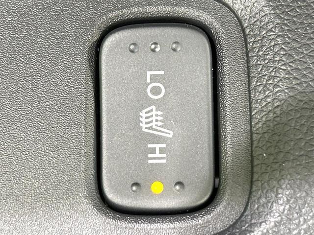 26816617_carP_l_13.jpg