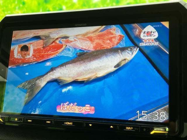23079578_carP_l_6.jpg