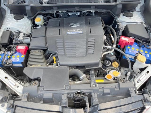 24952896_carP_l_16.jpg