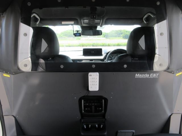 24060528_carP_l_18.jpg