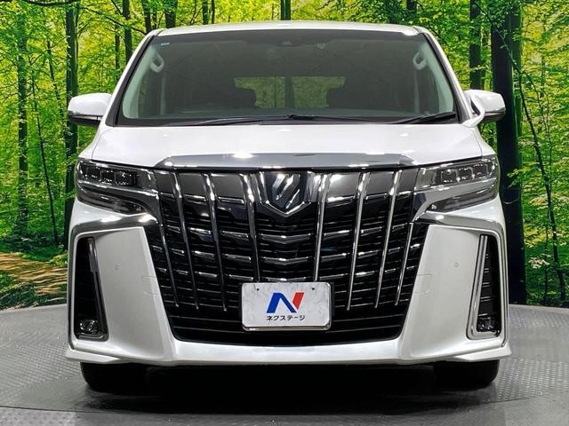 25633187_carP_l_11.jpg