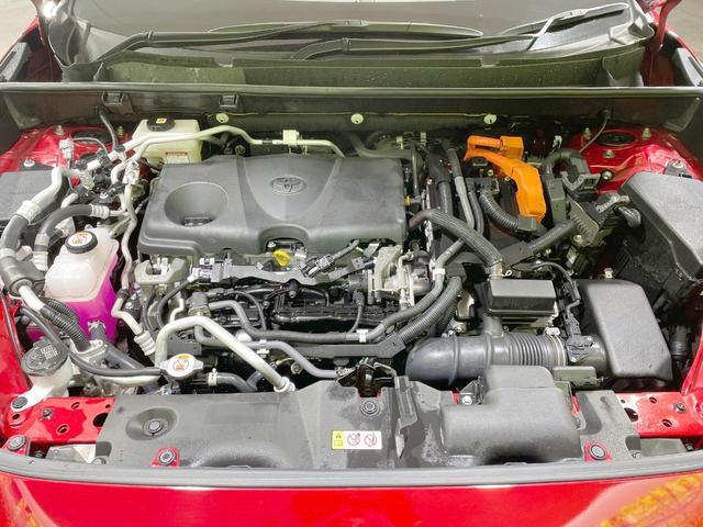 24199858_carP_l_18.jpg