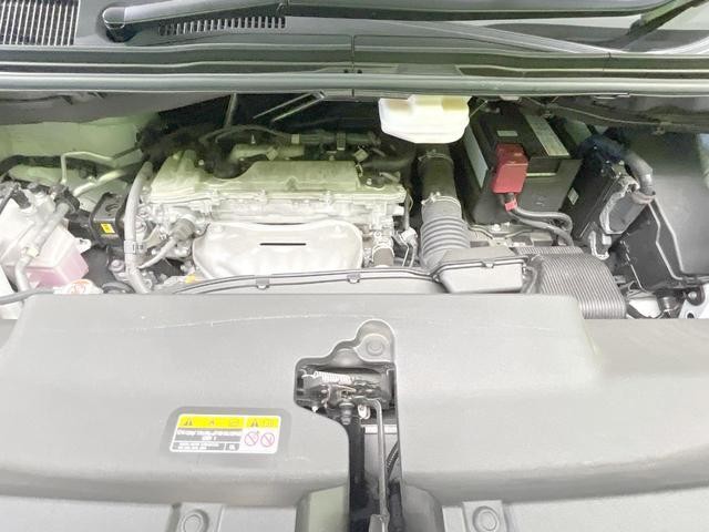 25487069_carP_l_16.jpg