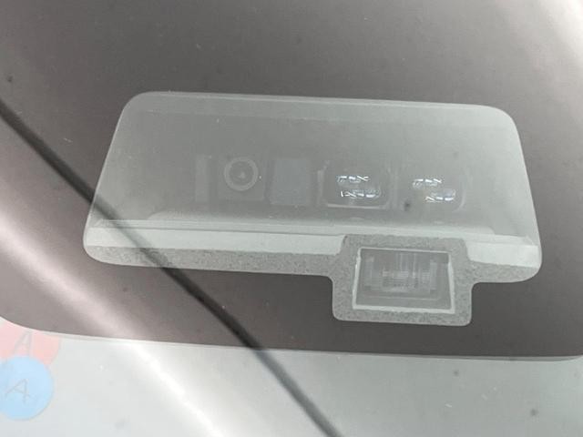 24994585_carP_l_4.jpg