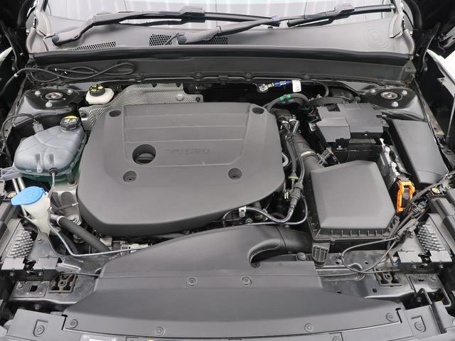 23437855_carP_l_9.jpg