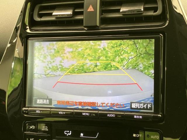 22600396_carP_l_8.jpg