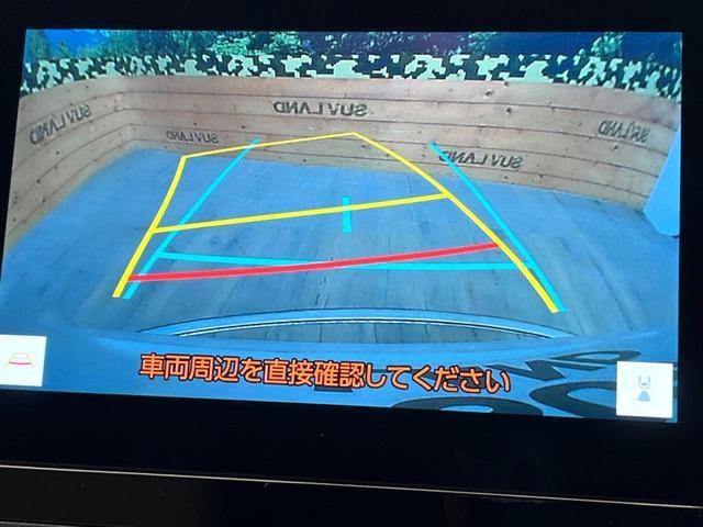 25303553_carP_l_4.jpg