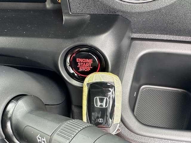 24648861_carP_l_7.jpg