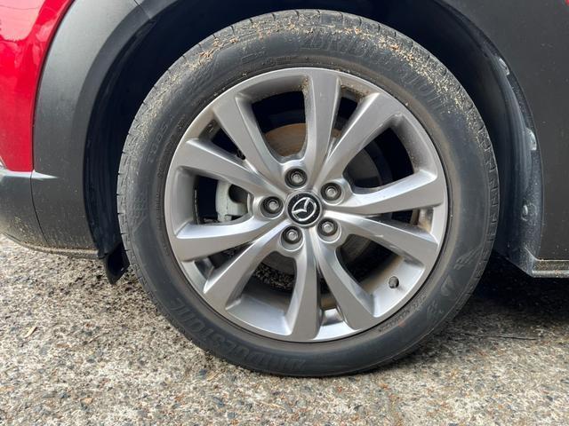 23093465_carP_l_20.jpg