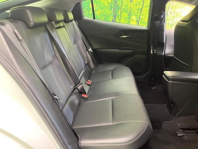 25404907_carP_l_19.jpg