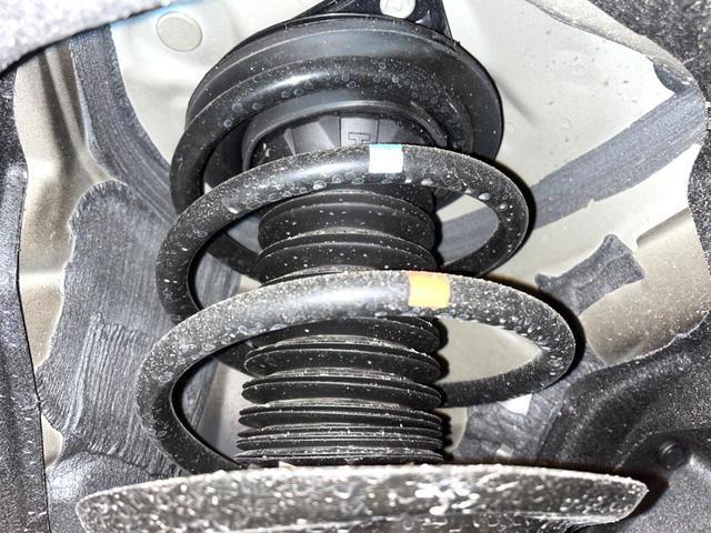 23243829_carP_l_20.jpg
